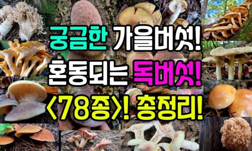 煮中药一般煮多久最好-煮中药咋熬网-分享煮中药用什么锅，煮中药用什么锅好知识库