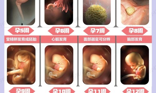 煮中药咋熬网-分享煮中药用什么锅，煮中药用什么锅好知识库